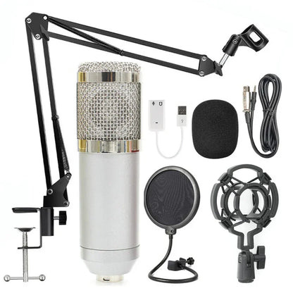 Professional BM-800 Net Microphone Stand Set - True-Tech