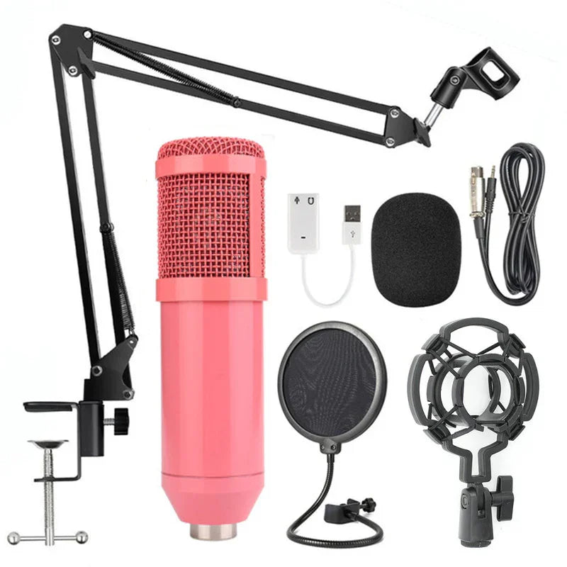 Professional BM-800 Net Microphone Stand Set - True-Tech
