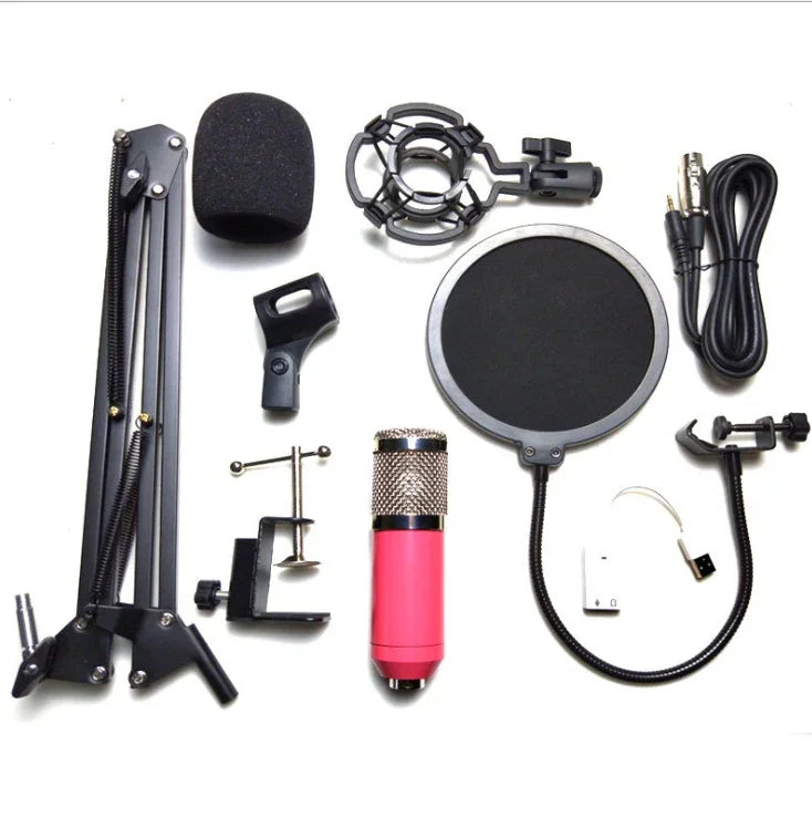 Professional BM-800 Net Microphone Stand Set - True-Tech