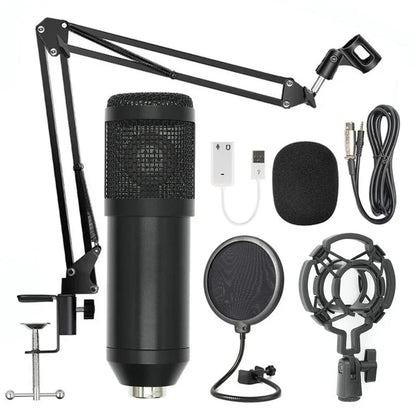Professional BM-800 Net Microphone Stand Set - True-Tech